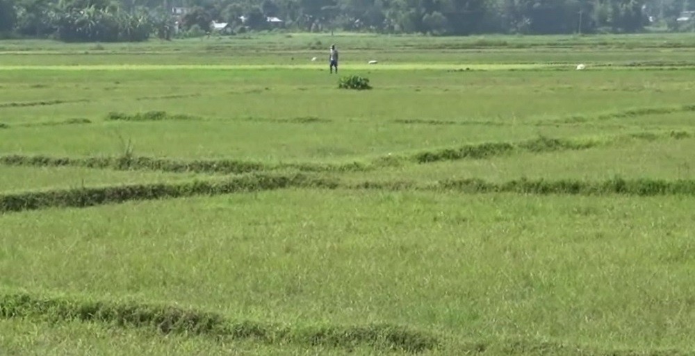 जग्गा बेचबिखनमा लगईएको कित्ताकाट ३ बर्ष पछि फुकुवा