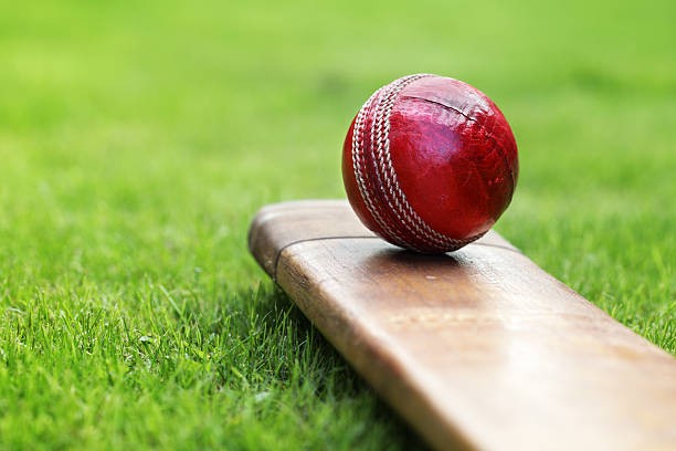 पोखरा क्रिकेट क्लब सात विकेटले विजयी
