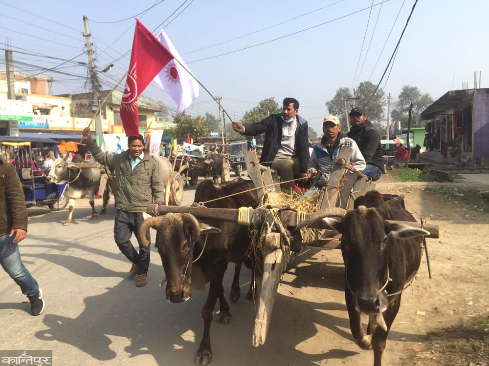 संसद विघटनको विरोधमा अनेरास्ववियूको बयलगाडा प्रदर्शन