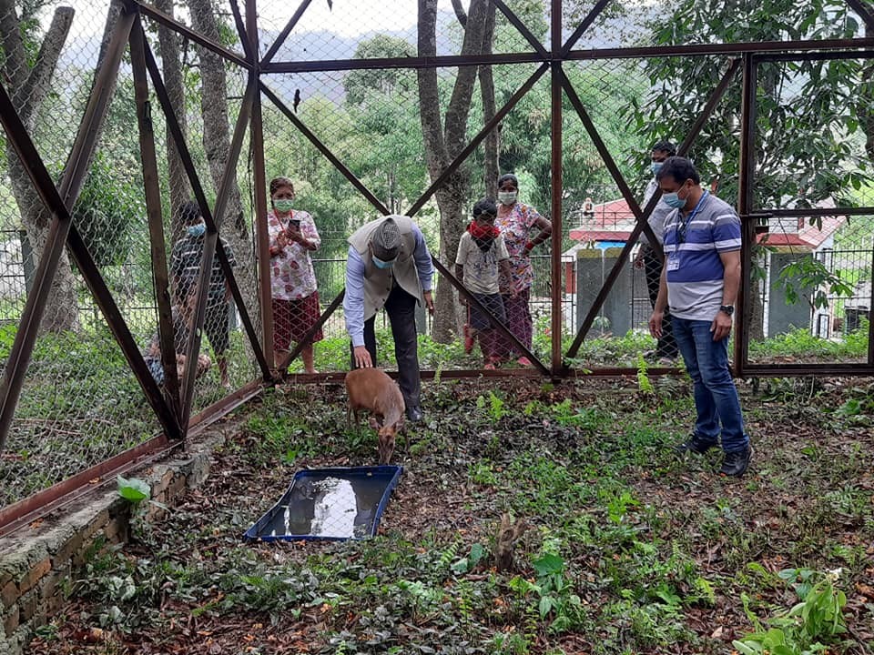 पोखराको विश्व शान्ती जैविक विविधता उद्यानमा अब वन्यजन्तु हेर्न पनि पाईने