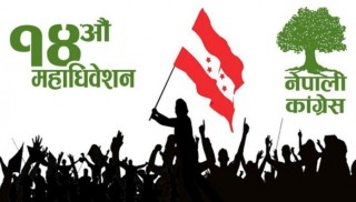 नेपाली कांग्रेस अधिवेशन : ललितपुरको ३ स्थानीय तहमा सर्वसम्मत, ३ मा निर्वाचन