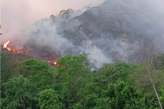 म्याग्दीमा आगलागीबाट ७० हेक्टर वन क्षेत्र क्षति