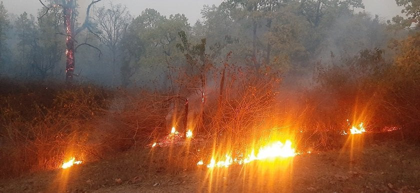 लुम्बिनी प्रदेश : १२ जिल्लाका १ सय ८ स्थानमा डढेलो