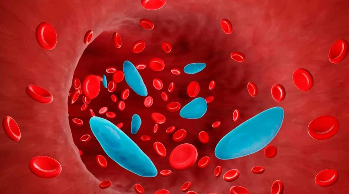 blood-cells1_bgME1PTviL.webp