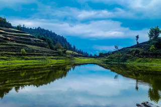 ताल सफा गर्ने चरा बसाइँ सरेपछि...