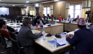 तीन संसदीय समितिको बैठक बस्दै