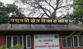 पशुपति विकास कोषकी कार्यकारी निर्देशक लक्ष्मी पुनको नियुक्ति बदर