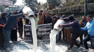 ललितपुर जिल्ला प्रशासन कार्यालय अगाडि किसानले दुध पोखे