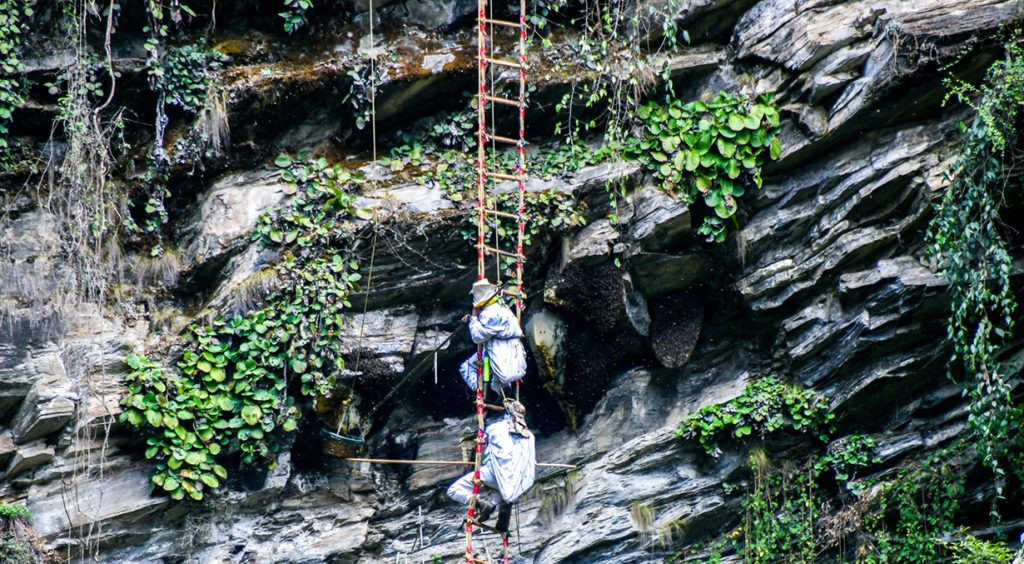 आयआर्जन र पर्यटन प्रवर्द्धनको माध्यम बन्दै महशिकार