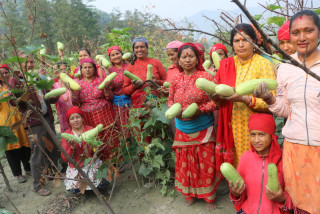 महिलाहरू सामूहिक कृषितर्फ आकर्षित भएका छन्