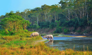 गर्मी बढेसँगै चितवनमा पर्यटकको सङ्ख्यामा कमी