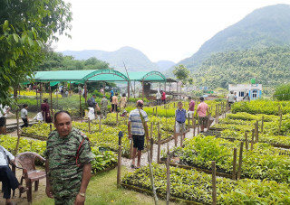 पशुपालनलाई प्रोत्साहन गर्न डाँलेघाँस उत्पादन