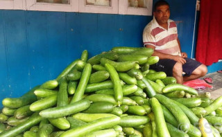 काँक्रोखेतीबाट मनग्य आम्दानी