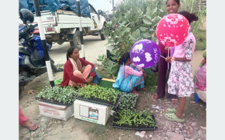 सागसब्जीका बेर्ना बेचेर प्रशस्त आम्दानी