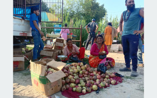 जुम्लाका उत्पादन, कैलालीमा व्यापार