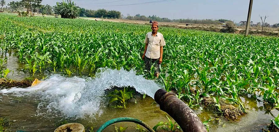 चितवनसहित तीन जिल्ला हेर्दै आएको सिँचाइ आयोजनामा बजेट कम, माग बढी