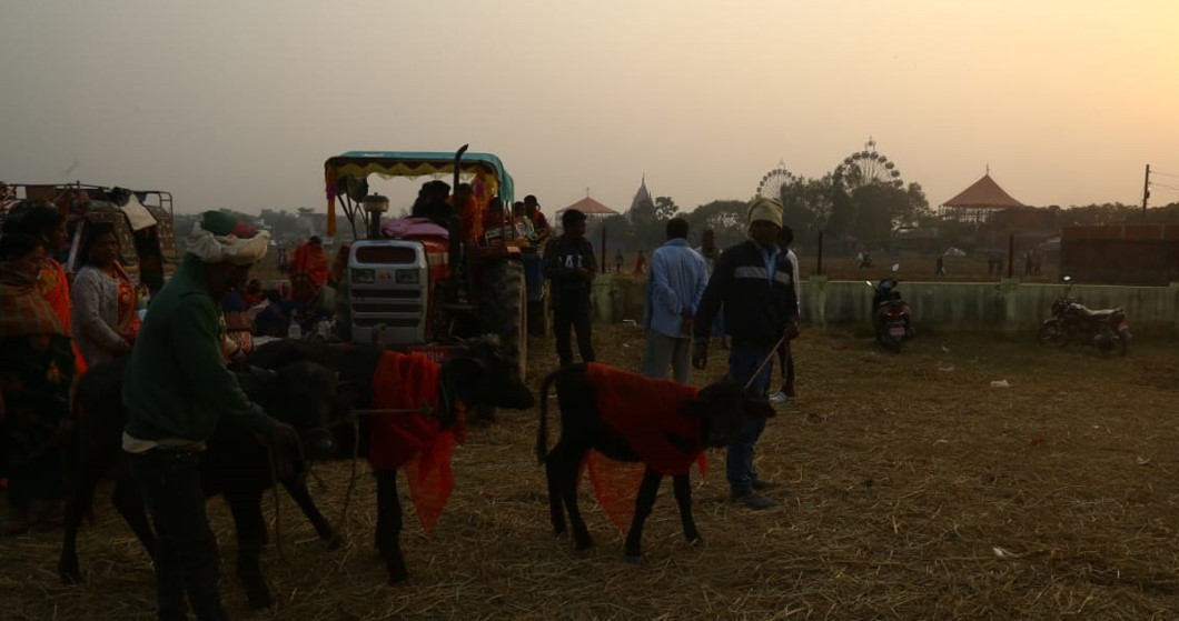 gadhi-mai-festival-20.jpg