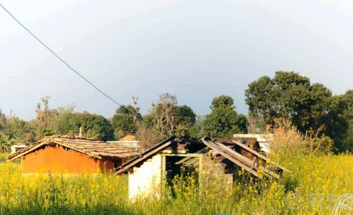 गुन्यालफाँटाका दुई दर्जन बढी बादी परिवारका घरमा ताला