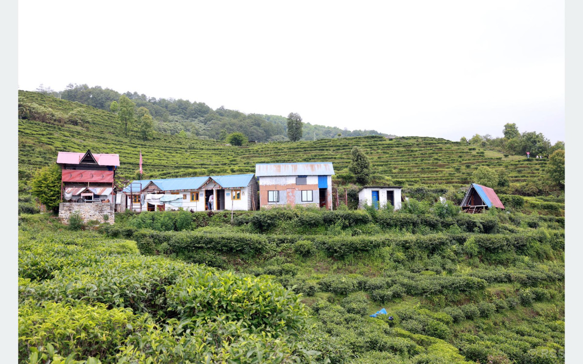 चियाबारीको हरियालीमा फक्रिँदै ल्वाङको पर्यटन