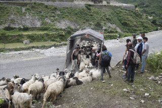 सहरको स्वादका लागि छुट्छ हिमालको दसैँ–तिहार