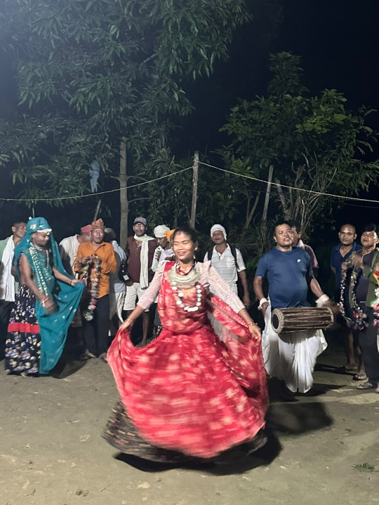 थारू बस्तीमा हुर्डुङग्वा नाचको रौनक